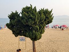 -青岛第一海水浴场
