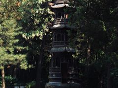 -兴教寺