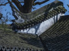 -上海醉白池公园