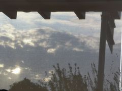 -星巴克(长沙麓南广场店)