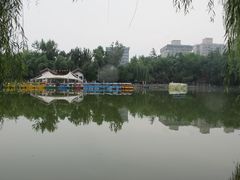 -莲湖公园