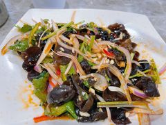 -东山羊庄(八卦岭店)