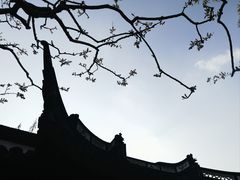-上海醉白池公园