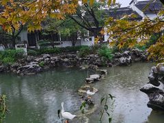 -巡塘古镇