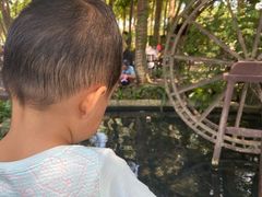 -万绿园