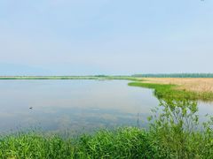 -野鸭湖国家湿地公园