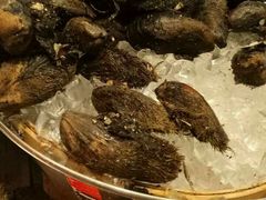 -富力希尔顿酒店·地阔自助餐厅