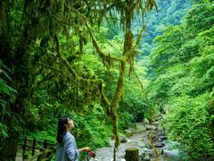-西岭雪山大飞水景区