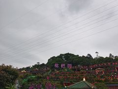 -枇杷园食为鲜火锅(南山店)