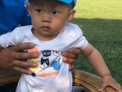 -草根堂农场