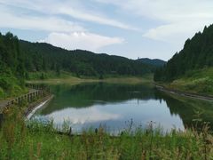 -武陵山森林公园