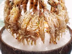 -红鼎豆捞·非遗鲍皇汤火锅(宝丰路店)