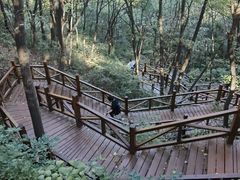 -大岭沟猕猴桃谷风景区