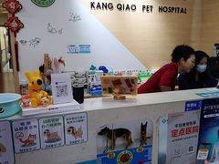 -千城康桥宠物医院·猫科·骨科·心脏