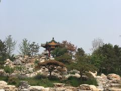 -武清南湖绿博园