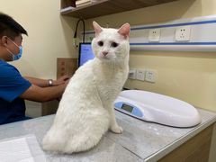 -萌兽医馆·犬猫专科·眼科中心·宠物医院(朝阳门分院)