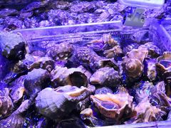 -盒马鲜生(大成店)