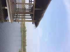 iphone_upload_pic-溱湖国家湿地公园