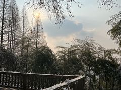 -莫干山风景区