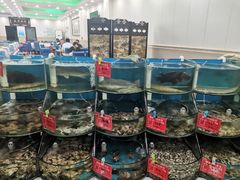 水产区-聚德福海鲜家常菜(刘庄店)