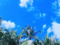 -白沙湾海滩