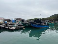 -蓝湾碧波·老字号·疍家非遗海上餐厅