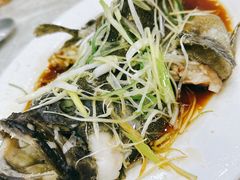 -凤城礼记鱼翅海鲜酒家(新马路总店)