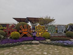 -上海长兴岛郊野公园