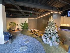 -J Create城市露营咖啡·简餐·宠物(上海动物园店)