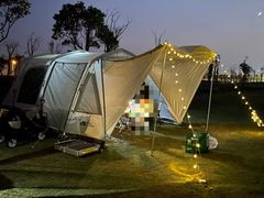 -春花秋色城市公园