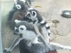 -鄂尔多斯野生动物园