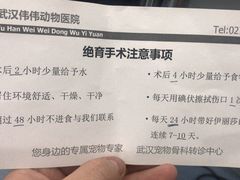 -伟伟宠物医院·CT影像中心·瑞派犬猫综合性门诊(汉口总院)