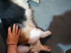 -阿尔法海鲜排档(爱琴海店)