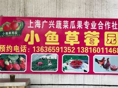 -小鱼草莓采摘园农家乐·小鱼餐厅