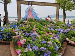 -无锡蠡湖国家湿地公园-蠡园