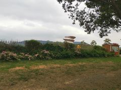 -光明小镇欢乐田园