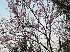 -爷爷的土钵菜(街道口店)