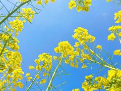 -中国天府农业博览园