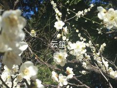 -名古屋城