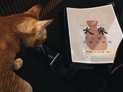 -大米·京都小酒馆·炭烧海鲜·烧鸟(龙口东路店)