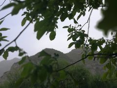 -窦大夫祠