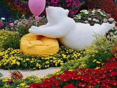 -上海共青森林公园