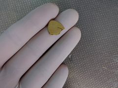 -北京观赏动物医院·24小时大型综合·猫专科·异宠专科