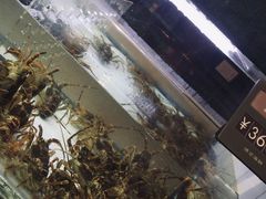 -徐记海鲜(阿波罗店)