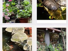 -谷咖啡·鲜花绿植花园餐厅