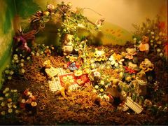 -济州岛泰迪熊博物馆