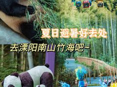 -镇江市南山风景名胜区竹林景区