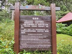 -庐山风景区花径公园