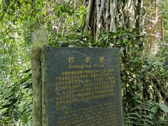 -中国科学院西双版纳热带植物园