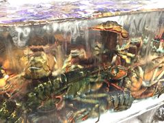 -超级物种·波龙工坊(国贸店)
